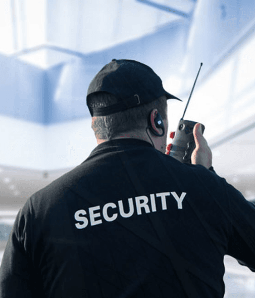 Security Professional